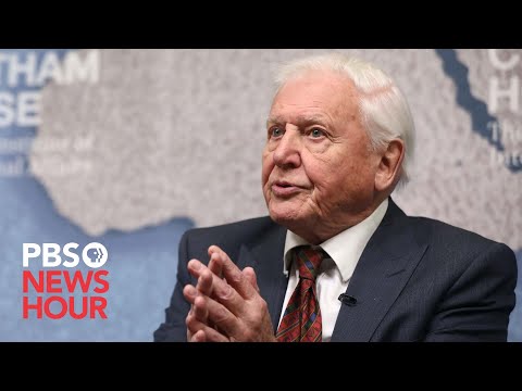 This David Attenborough Speech To World Leaders About Acting On Climate Change Was So Powerful You Could Hear A Pin Drop